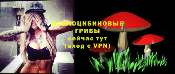 СК Волосово