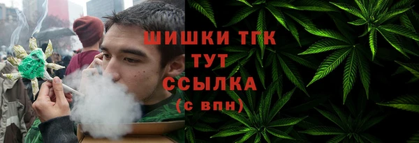СК Волосово