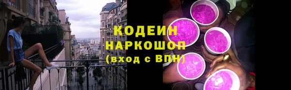 СК Волосово