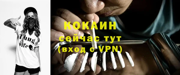 СК Волосово