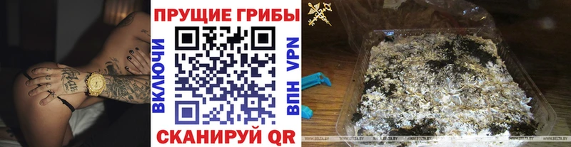 хочу наркоту Чудово Галлюциногенные грибы Psilocybe